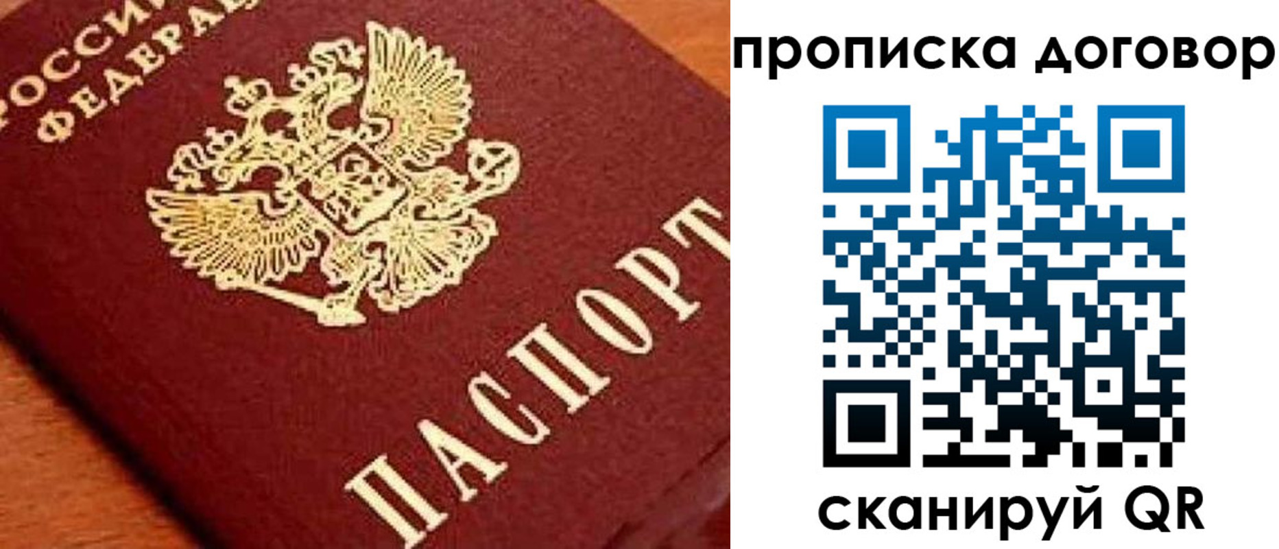 прописка поиск в Барыше